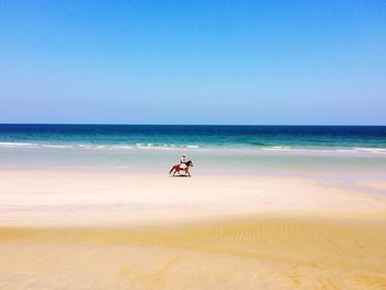 People on beach against clear blue sky