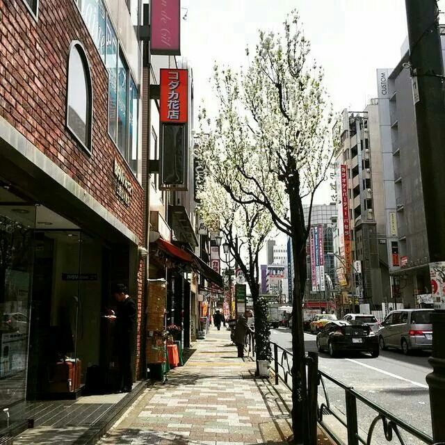 building exterior, architecture, built structure, street, city, the way forward, transportation, car, city life, road, land vehicle, tree, residential structure, residential building, building, incidental people, mode of transport, diminishing perspective, city street, bare tree