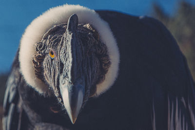 Close-up of person against sky