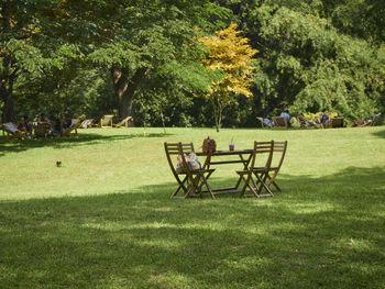 View of people relaxing in park