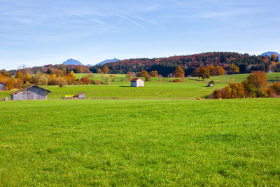 Scenic view of field and houses against sky
