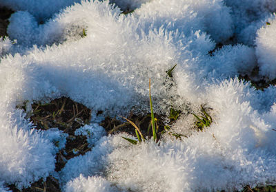 Full frame shot of frozen ice