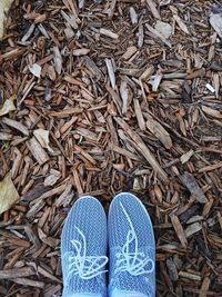 High angle view of shoes on wood