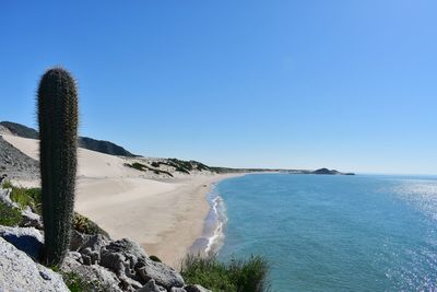 Scenic view of sea against clear blue sky