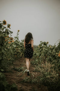 Rear view of young woman running at sunflower farm