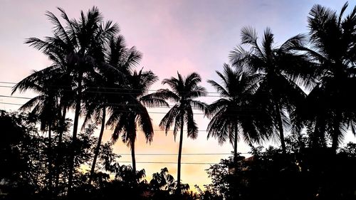 Low angle view of silhouette palm trees against sky during sunset