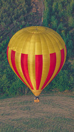 Hot air balloons against sky