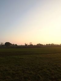 Scenic view of agricultural field against sky at sunset