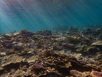 sea