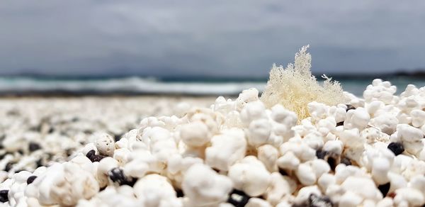 Close-up of pebbles on beach against sky