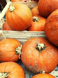 Full frame shot of pumpkins
