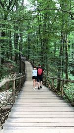 Rear view of couple walking on steps in forest