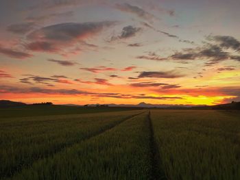 Scenic view of field against sky during sunset