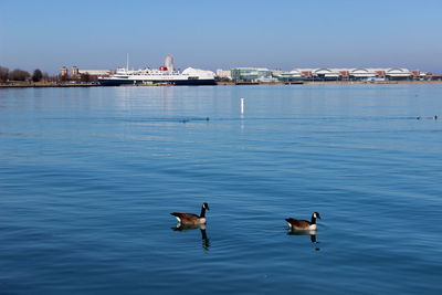 Scenic view of lake against blue sky