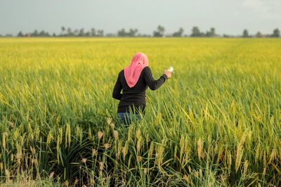 Rear view of man standing in field