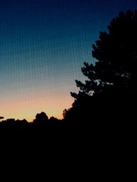 Low angle view of silhouette trees against sky at sunset
