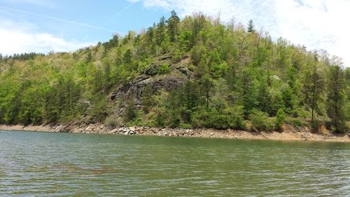 Low angle view of trees by lake against sky