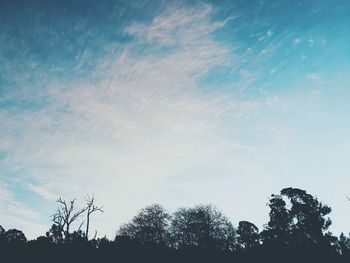 Low angle view of silhouette trees against sky