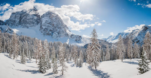 Snow covered land and trees against sky