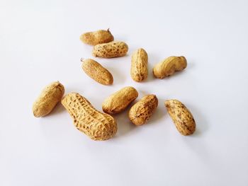 High angle view of cookies against white background