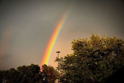 Rainbow over trees against sky