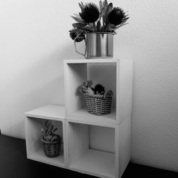 Potted plant on table at home