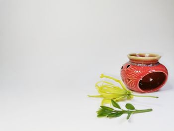 High angle view of rose on table against white background