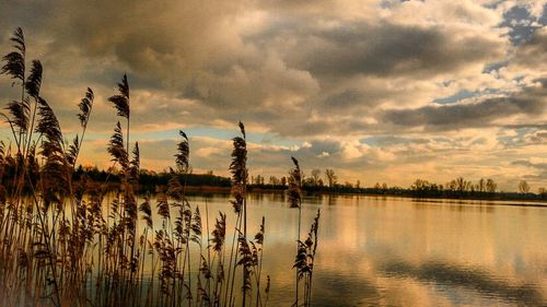 Scenic view of lake against cloudy sky