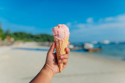 Cropped hand of person holding seashell at beach