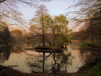 Reflection of trees in lake