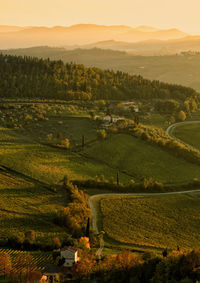 Scenic view of agricultural field against sky during sunset