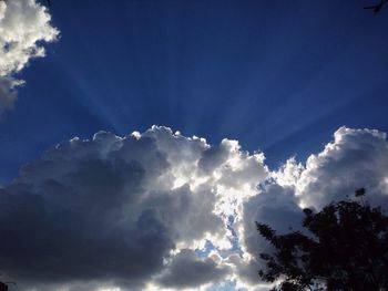 Low angle view of vapor trail in sky