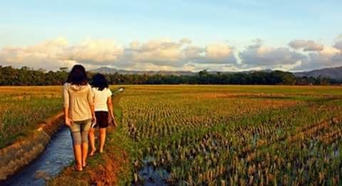 Rear view of young woman standing in field against sky