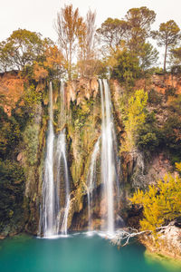 Low angle view of waterfall in forest