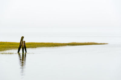 Full length of man walking on sea shore against sky