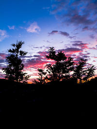 Silhouette trees against sky during sunset