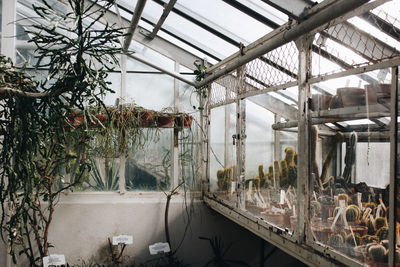 Interior of abandoned greenhouse