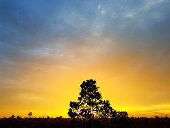 Silhouette trees against dramatic sky during sunset