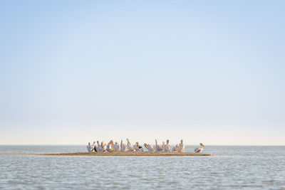 Group of people on calm sea against clear sky