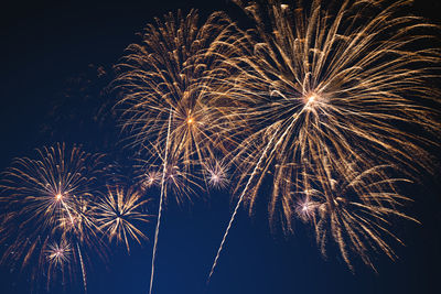 Low angle view of firework display at night