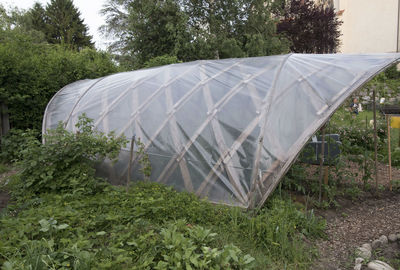 Tent in field seen through greenhouse