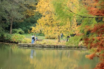 Rear view of people on lake in forest during autumn