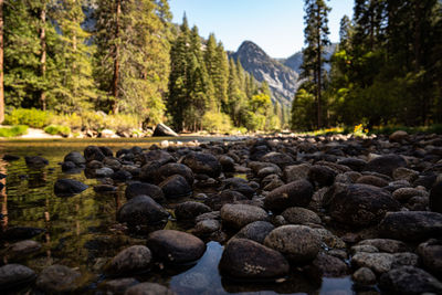 View of rocks in river