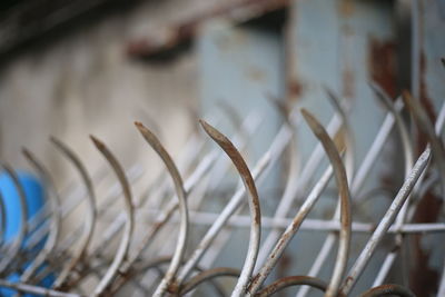 Close-up of rusty metal fence