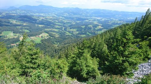 Scenic view of green landscape against sky