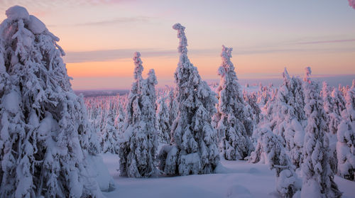 Snow covered landscape against sky during sunset