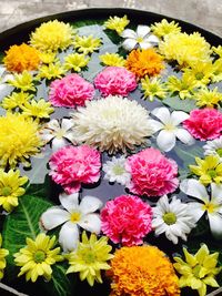 Close-up of colorful flowers