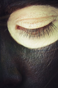 Close-up of human eye