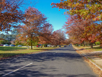 Road amidst trees in park during autumn