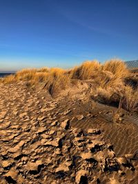 Scenic view of landscape against clear sky